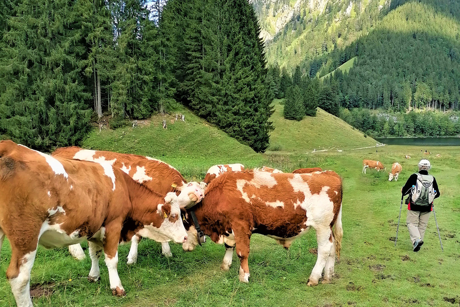 Wandern im Alpenvorland