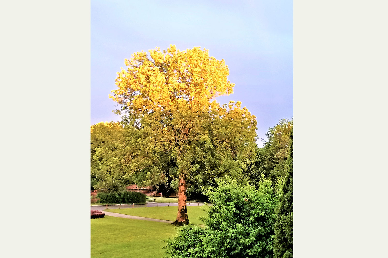 Blick vom Balkon